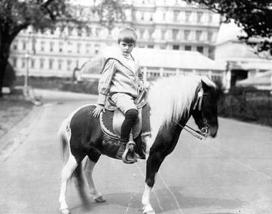 The Roosevelt Boys’ Pony in the Elevator