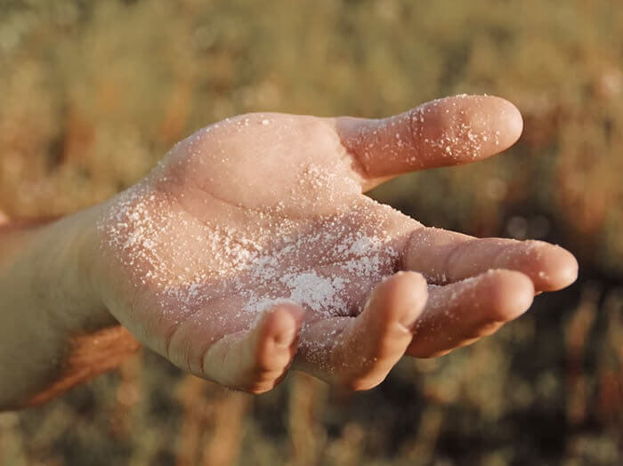 Salt to Scrub off the Smell
