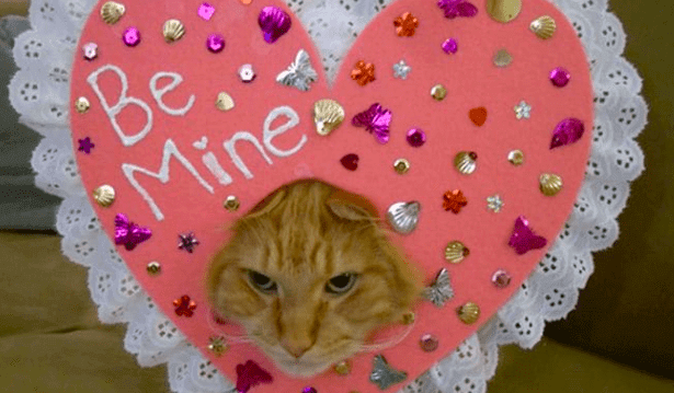 The Look of Love