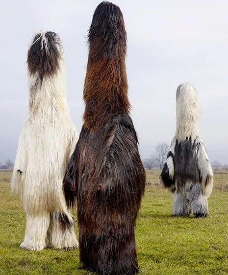 Bulgaria's Unique Babugeri Tradition