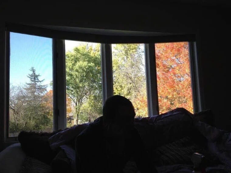 The Four Seasons All in One Yard