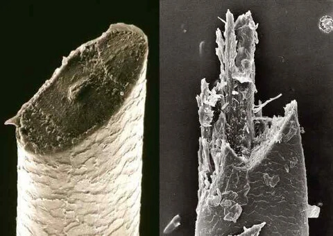 Traditional Razors Vs. Electric Razors