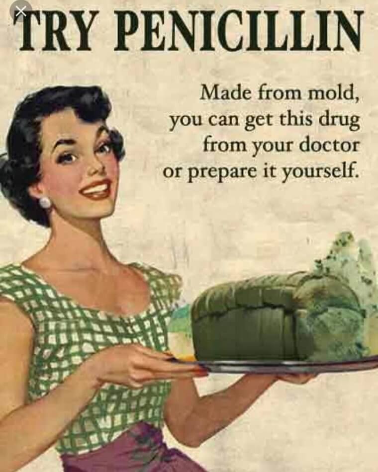 Eat Moldy Bread