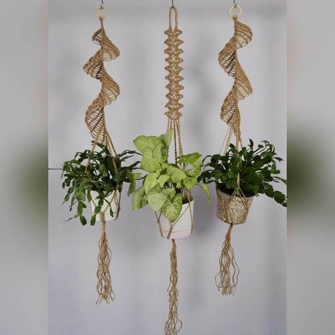 Macrame Hanging Planters in Windows