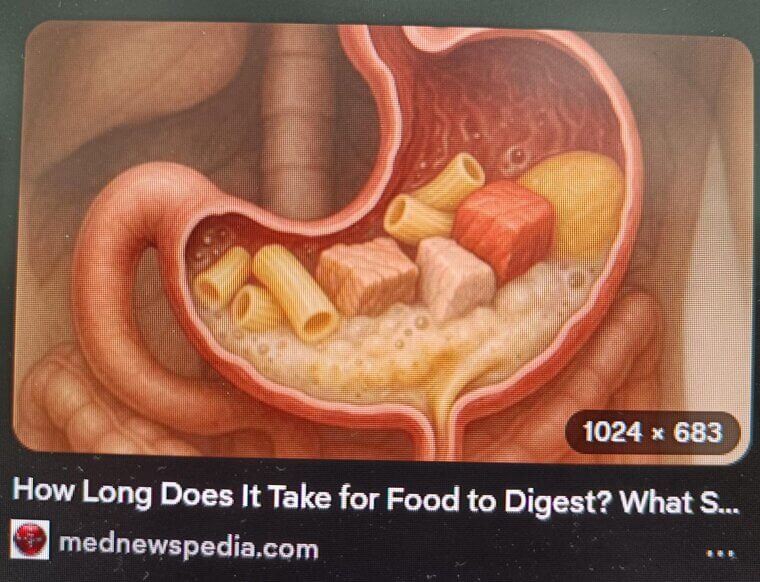 The Dual-Exhaust Stomach