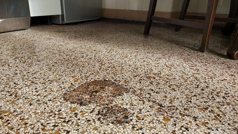 Terrazzo Floors in Mid-Century Homes