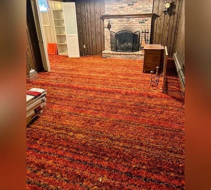 Shag Carpet in Every Living Room