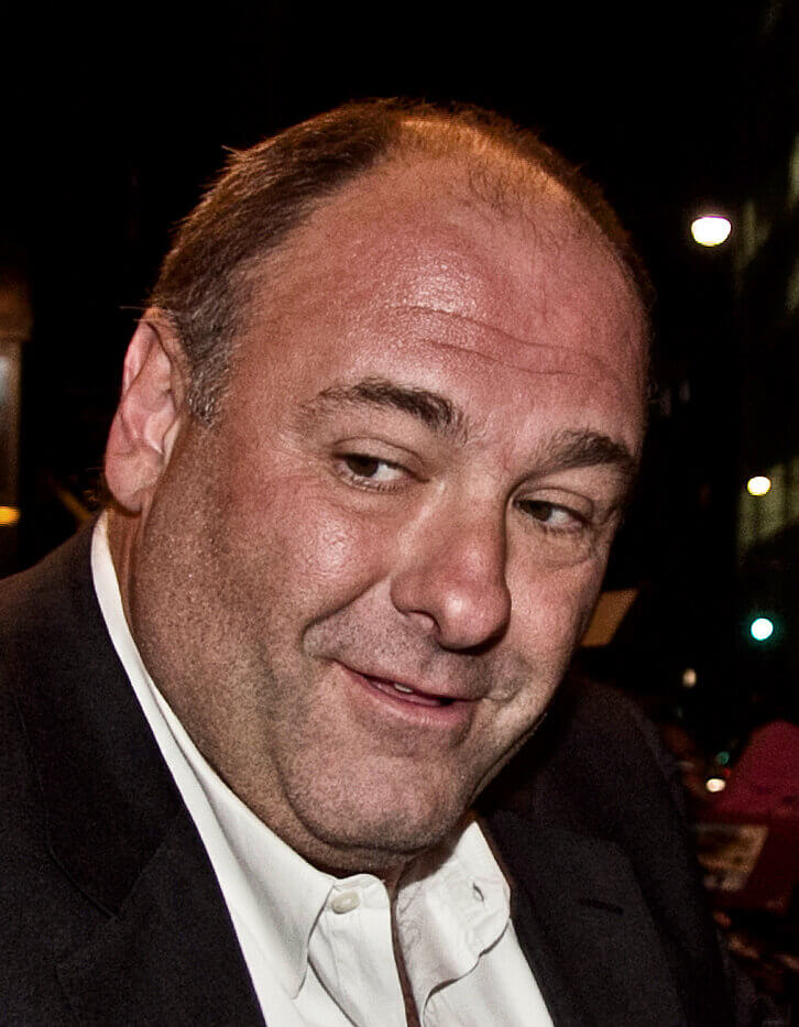 James Gandolfini Passed Away After a Cardiac Arrest (51 Years Old)