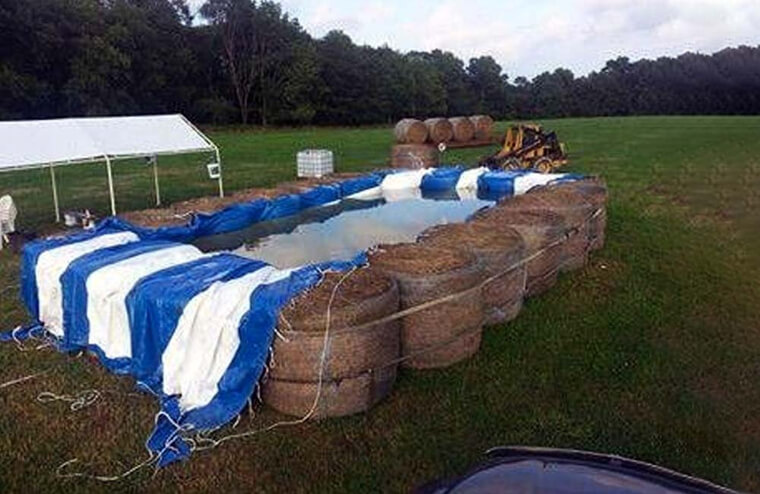 What the Hay?