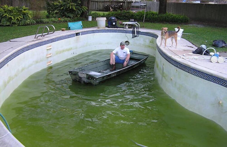 The Green Lagoon